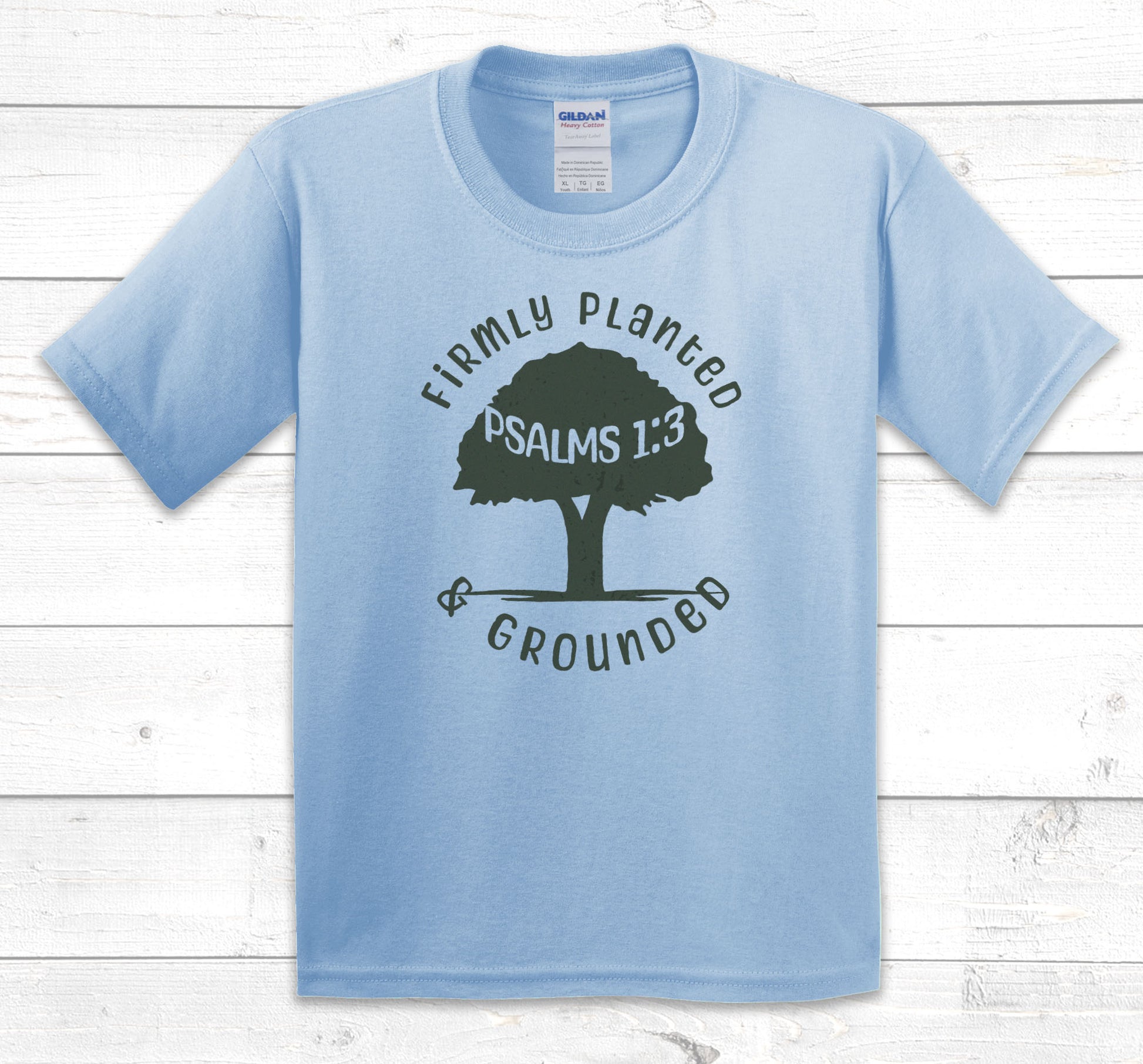 Firmly Planted kids t-shirt in Light Blue